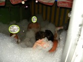 <p>Pub Eva y Adan Noche de Espuma</p>