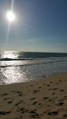 Agenda Verano 2017